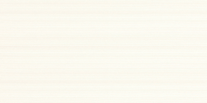 제품명